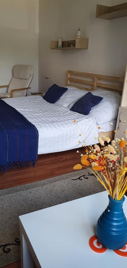 Apartament Jo'S Chillout Place Timișoara Zewnętrze zdjęcie
